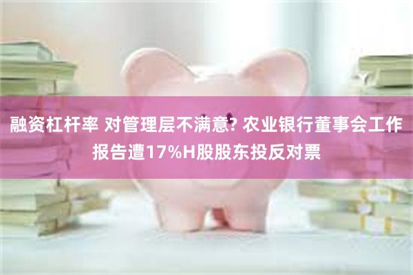融资杠杆率 对管理层不满意? 农业银行董事会工作报告遭17%H股股东投反对票