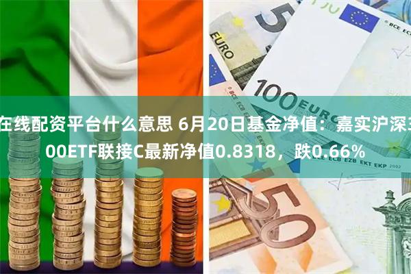 在线配资平台什么意思 6月20日基金净值：嘉实沪深300ETF联接C最新净值0.8318，跌0.66%