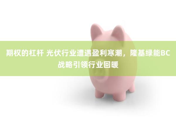 期权的杠杆 光伏行业遭遇盈利寒潮，隆基绿能BC战略引领行业回暖