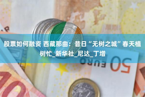 股票如何融资 西藏那曲：昔日“无树之城”春天植树忙_新华社_尼达_丁增