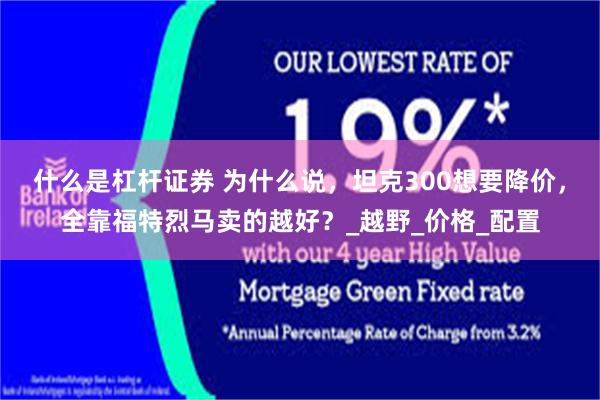 什么是杠杆证券 为什么说，坦克300想要降价，全靠福特烈马卖的越好？_越野_价格_配置