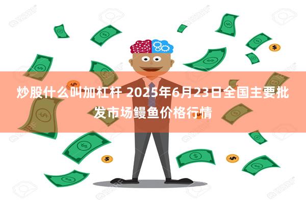 炒股什么叫加杠杆 2025年6月23日全国主要批发市场鳗鱼价格行情