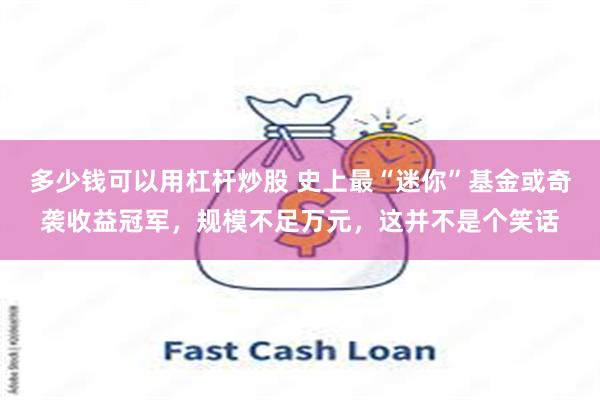 多少钱可以用杠杆炒股 史上最“迷你”基金或奇袭收益冠军，规模不足万元，这并不是个笑话