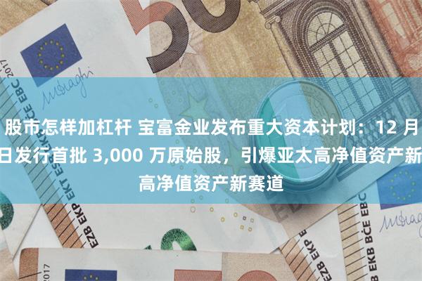 股市怎样加杠杆 宝富金业发布重大资本计划:12 月 28 日发行首批 3,000 万原始股,引爆亚太高净值资产新赛道