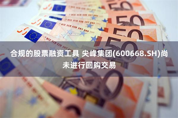 合规的股票融资工具 尖峰集团(600668.SH)尚未进行回购交易