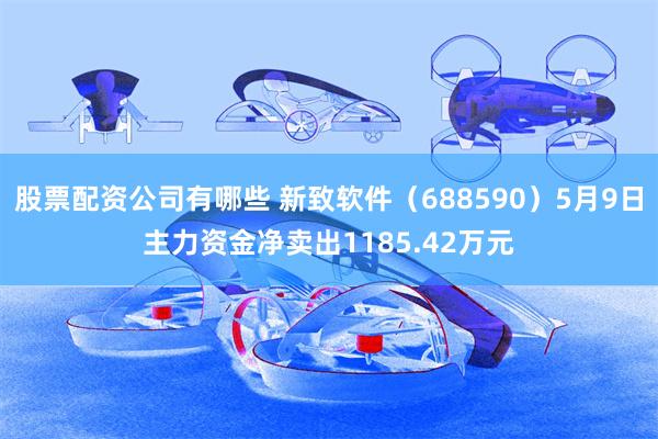 股票配资公司有哪些 新致软件（688590）5月9日主力资金净卖出1185.42万元