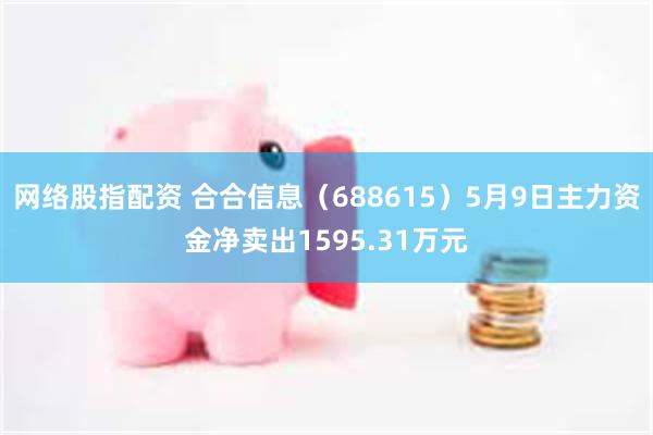网络股指配资 合合信息（688615）5月9日主力资金净卖出1595.31万元