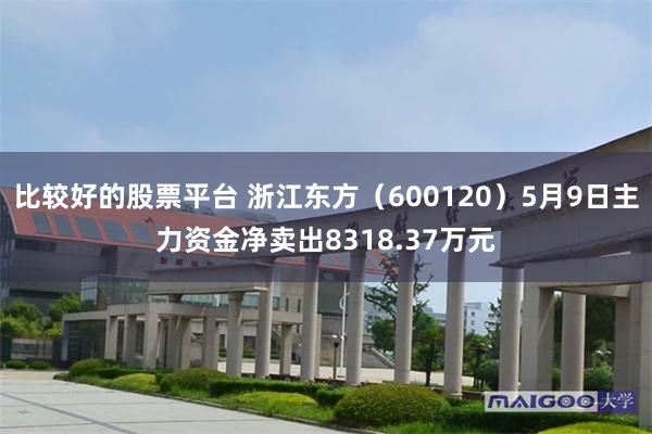 比较好的股票平台 浙江东方（600120）5月9日主力资金净卖出8318.37万元