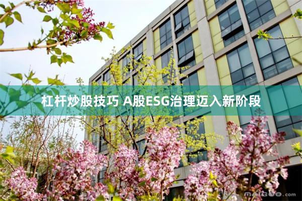 杠杆炒股技巧 A股ESG治理迈入新阶段