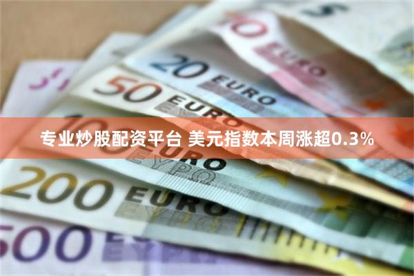 专业炒股配资平台 美元指数本周涨超0.3%