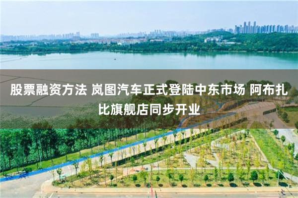 股票融资方法 岚图汽车正式登陆中东市场 阿布扎比旗舰店同步开业