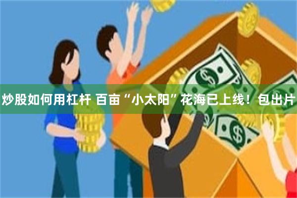 炒股如何用杠杆 百亩“小太阳”花海已上线！包出片