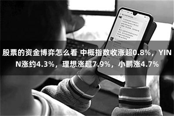 股票的资金博弈怎么看 中概指数收涨超0.8%，YINN涨约4.3%，理想涨超7.9%，小鹏涨4.7%
