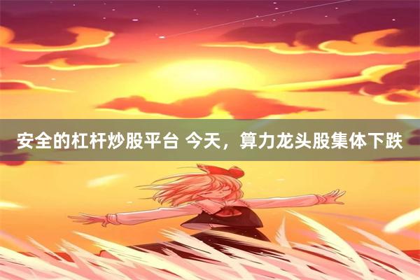 安全的杠杆炒股平台 今天，算力龙头股集体下跌