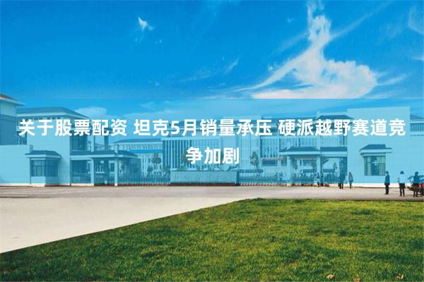 关于股票配资 坦克5月销量承压 硬派越野赛道竞争加剧