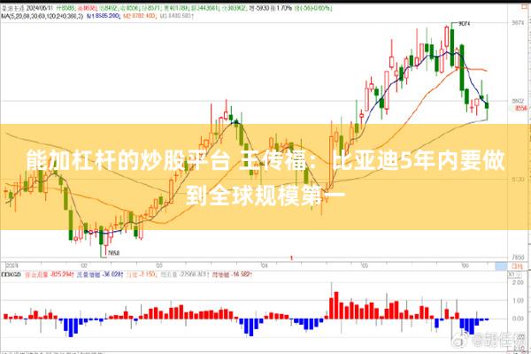 能加杠杆的炒股平台 王传福：比亚迪5年内要做到全球规模第一