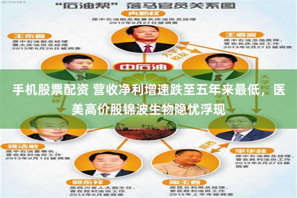 手机股票配资 营收净利增速跌至五年来最低，医美高价股锦波生物隐忧浮现