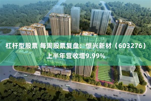 杠杆型股票 每周股票复盘：恒兴新材（603276）上半年营收增9.99%