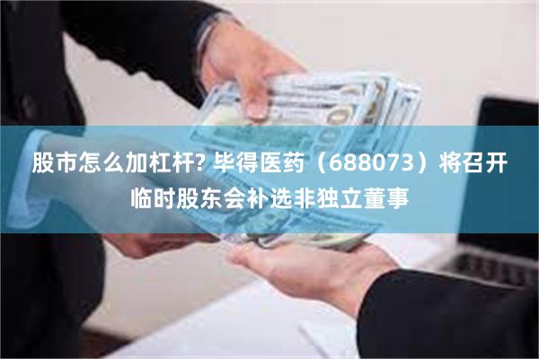 股市怎么加杠杆? 毕得医药（688073）将召开临时股东会补选非独立董事