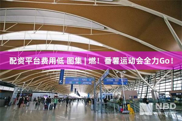 配资平台费用低 图集 | 燃！番薯运动会全力Go！