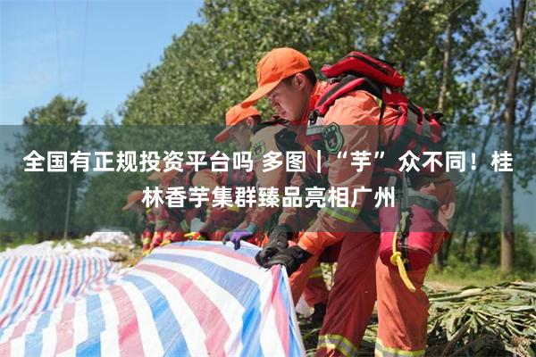 全国有正规投资平台吗 多图｜“芋” 众不同！桂林香芋集群臻品亮相广州
