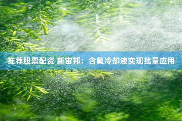 推荐股票配资 新宙邦:含氟冷却液实现批量应用