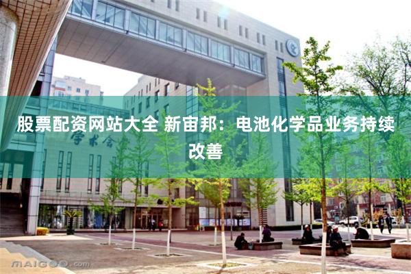 股票配资网站大全 新宙邦：电池化学品业务持续改善