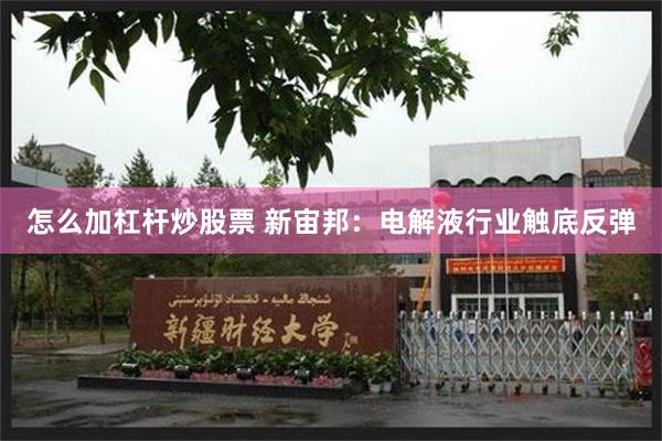 怎么加杠杆炒股票 新宙邦:电解液行业触底反弹