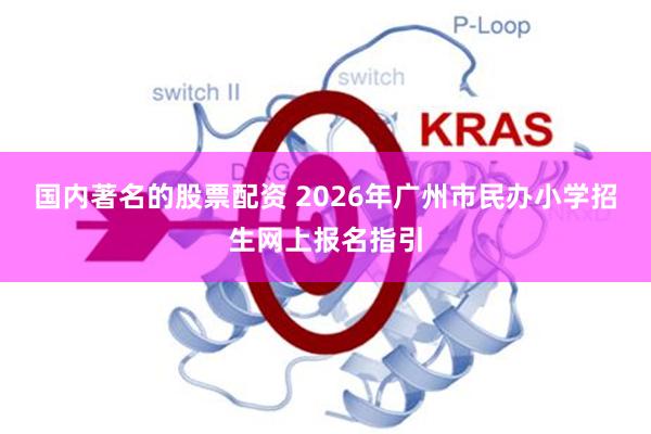 国内著名的股票配资 2026年广州市民办小学招生网上报名指引