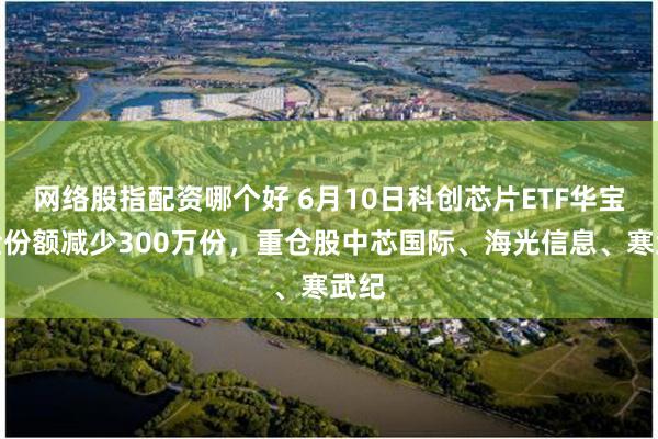 网络股指配资哪个好 6月10日科创芯片ETF华宝基金份额减少300万份，重仓股中芯国际、海光信息、寒武纪