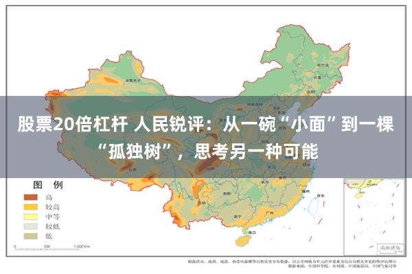 股票20倍杠杆 人民锐评：从一碗“小面”到一棵“孤独树”，思考另一种可能