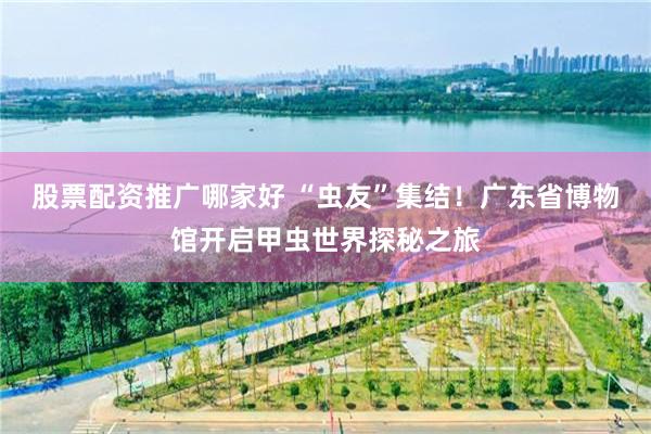 股票配资推广哪家好 “虫友”集结!广东省博物馆开启甲虫世界探秘之旅