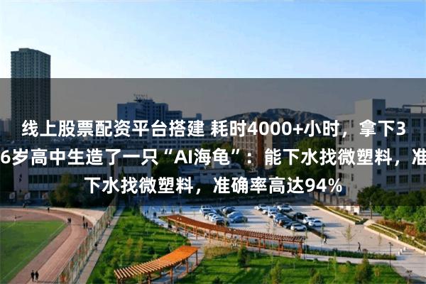 线上股票配资平台搭建 耗时4000+小时，拿下34万元大奖！16岁高中生造了一只“AI海龟”：能下水找微塑料，准确率高达94%
