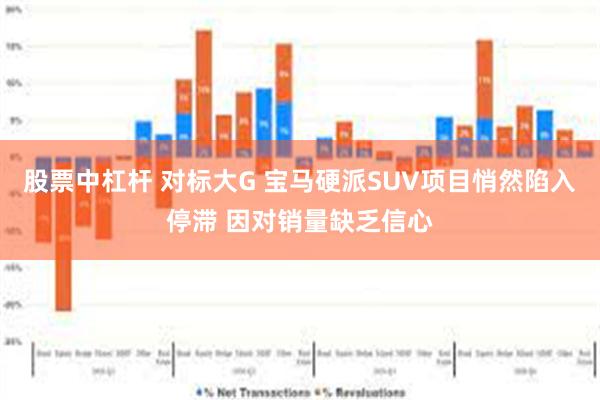股票中杠杆 对标大G 宝马硬派SUV项目悄然陷入停滞 因对销量缺乏信心