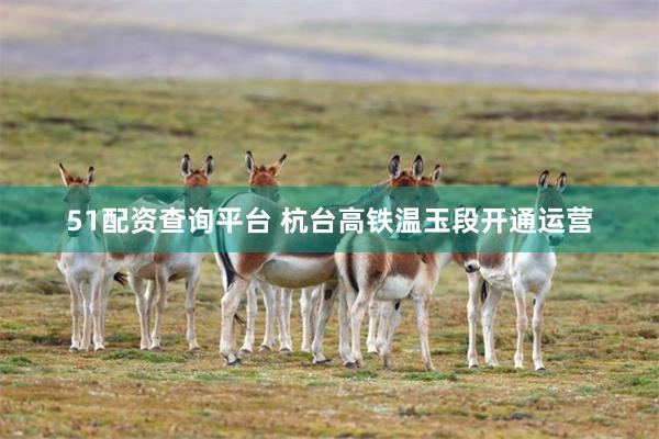 51配资查询平台 杭台高铁温玉段开通运营