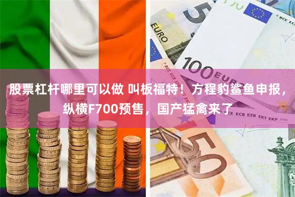 股票杠杆哪里可以做 叫板福特！方程豹鲨鱼申报，纵横F700预售，国产猛禽来了