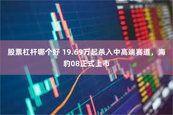 股票杠杆哪个好 19.69万起杀入中高端赛道，海豹08正式上市