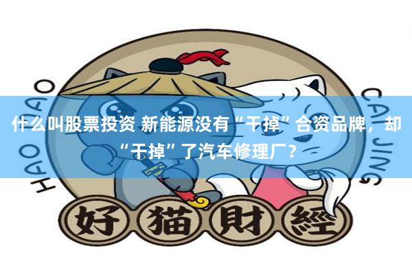 什么叫股票投资 新能源没有“干掉”合资品牌，却“干掉”了汽车修理厂？