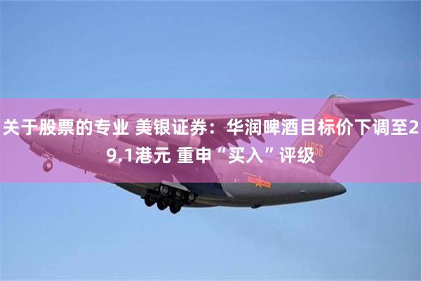 关于股票的专业 美银证券：华润啤酒目标价下调至29.1港元 重申“买入”评级