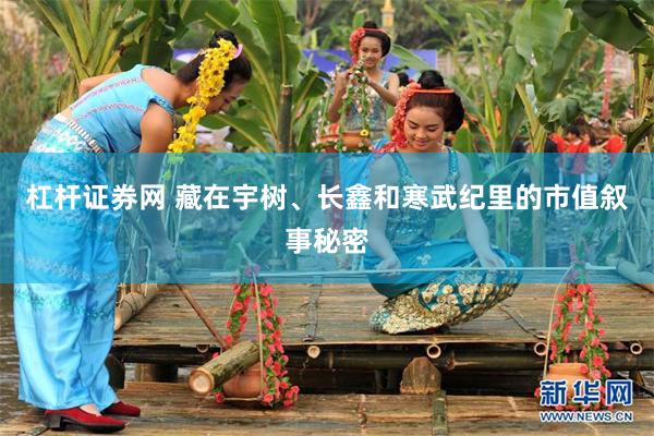 杠杆证券网 藏在宇树、长鑫和寒武纪里的市值叙事秘密