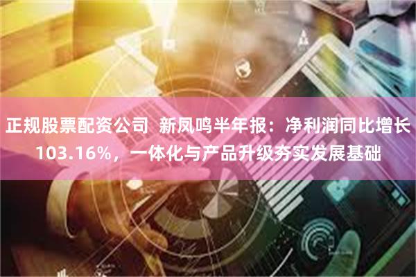正规股票配资公司  新凤鸣半年报：净利润同比增长103.16%，一体化与产品升级夯实发展基础