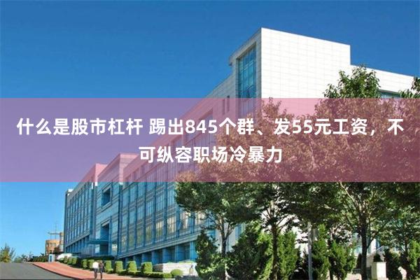 什么是股市杠杆 踢出845个群、发55元工资，不可纵容职场冷暴力