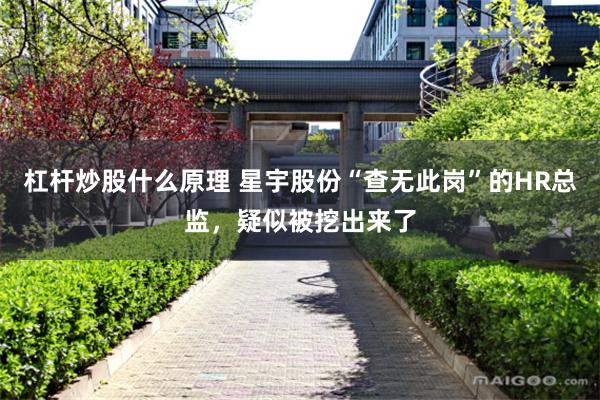 杠杆炒股什么原理 星宇股份“查无此岗”的HR总监，疑似被挖出来了