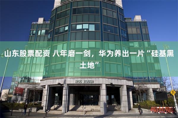 山东股票配资 八年磨一剑，华为养出一片“硅基黑土地”