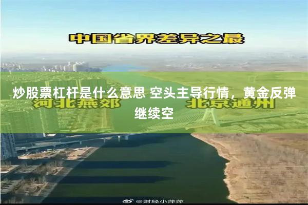 炒股票杠杆是什么意思 空头主导行情，黄金反弹继续空