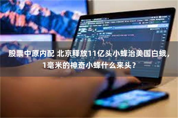 股票中原内配 北京释放11亿头小蜂治美国白蛾，1毫米的神奇小蜂什么来头？