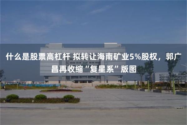 什么是股票高杠杆 拟转让海南矿业5%股权，郭广昌再收缩“复星系”版图