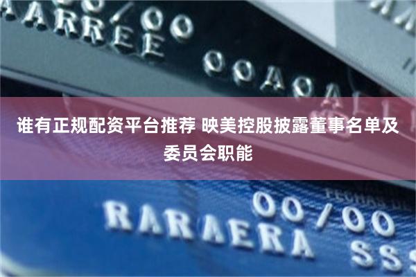 谁有正规配资平台推荐 映美控股披露董事名单及委员会职能