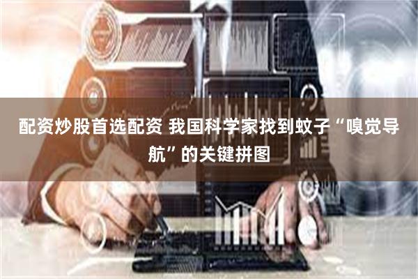 配资炒股首选配资 我国科学家找到蚊子“嗅觉导航”的关键拼图