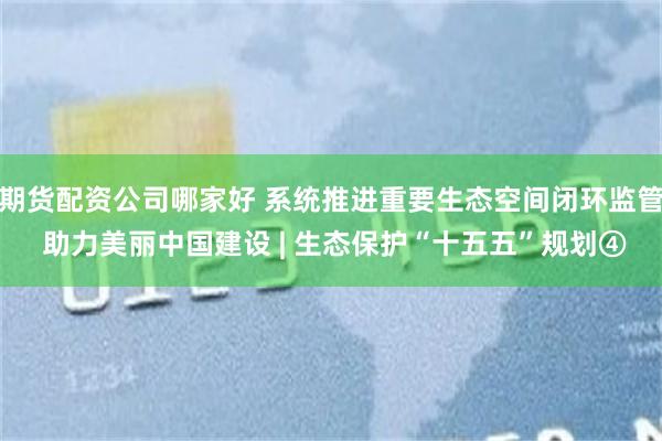 期货配资公司哪家好 系统推进重要生态空间闭环监管 助力美丽中国建设 | 生态保护“十五五”规划④